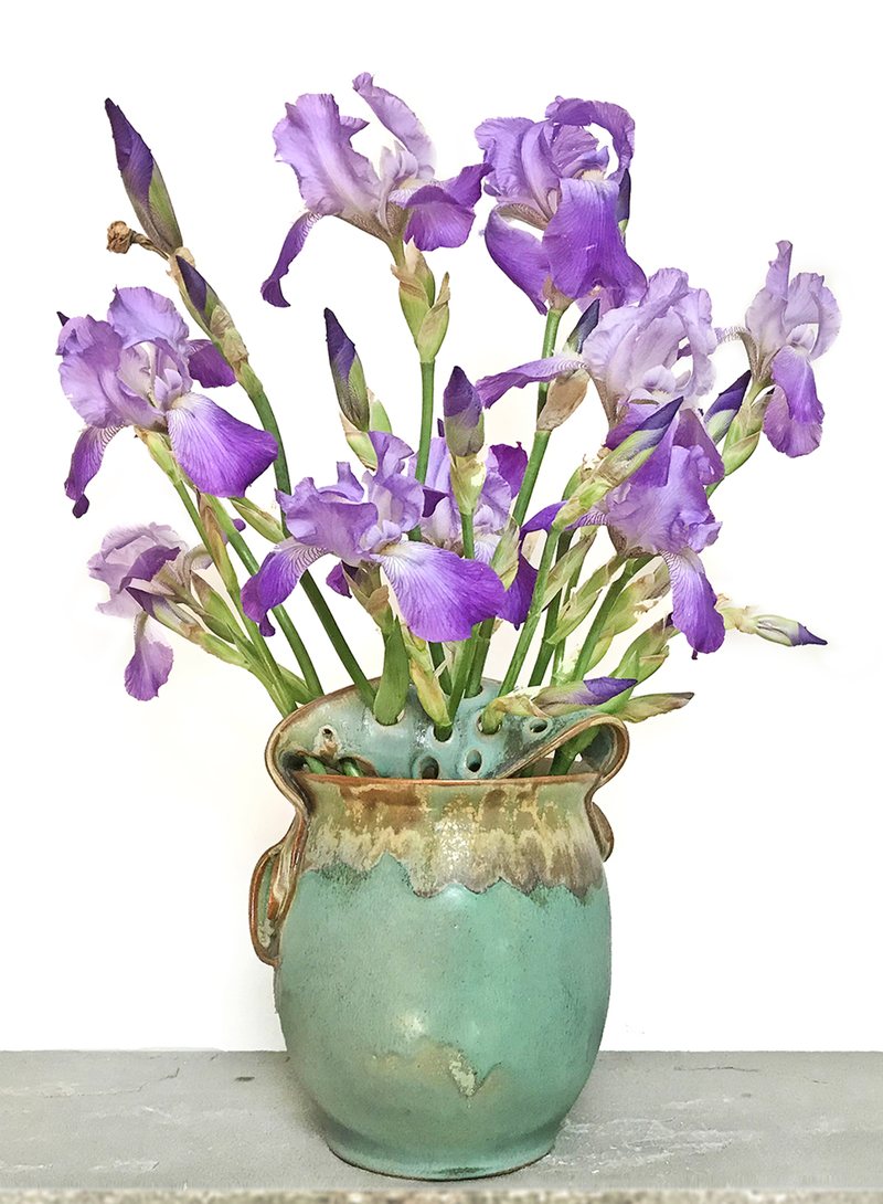 A rounded verdigris vase with small lug handles holding a tall bunch of purple bearded iris.